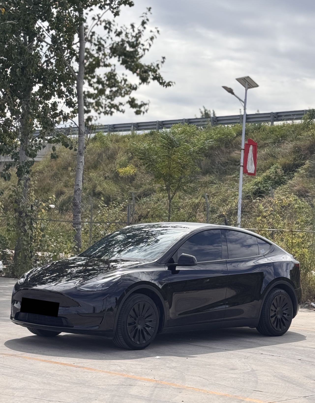 Tesla Model Y 2022 car image 