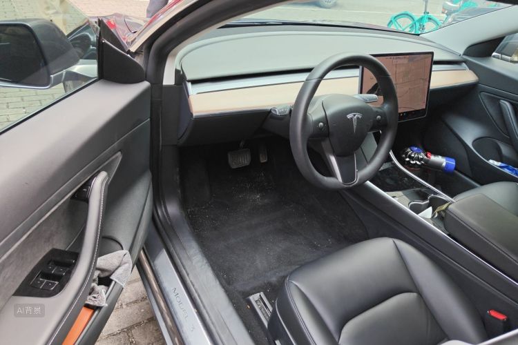Tesla Model 3 2020 car image #18