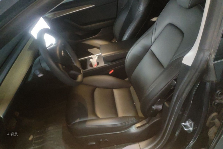 Tesla Model 3 2021 car image #17