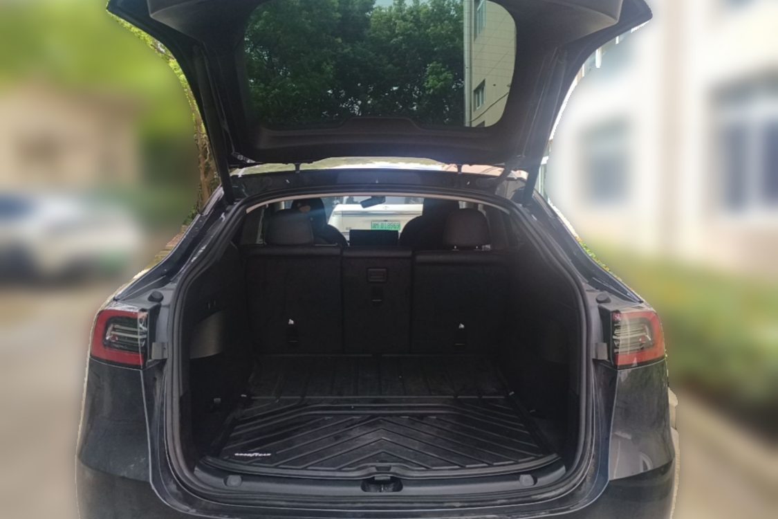 Tesla Model Y 2024 imagen de coche #5