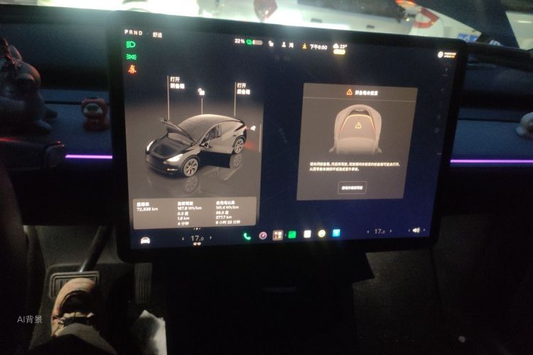 Tesla Model Y 2023 #13 Tesla Model Y 2023 car image #13