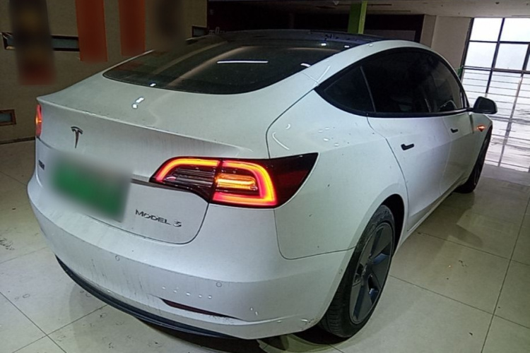 Tesla Model 3 2021 car image #7