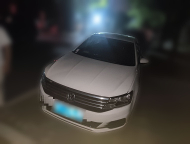 Volkswagen Lavida 2020 car image 