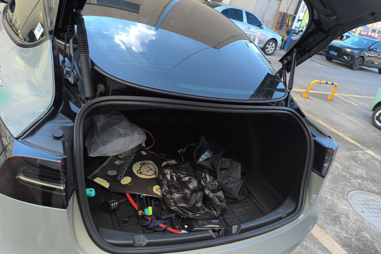 Tesla Model 3 2021 #21 Tesla Model 3 2021 car image #21