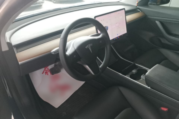 Tesla Model 3 2020 car image #10