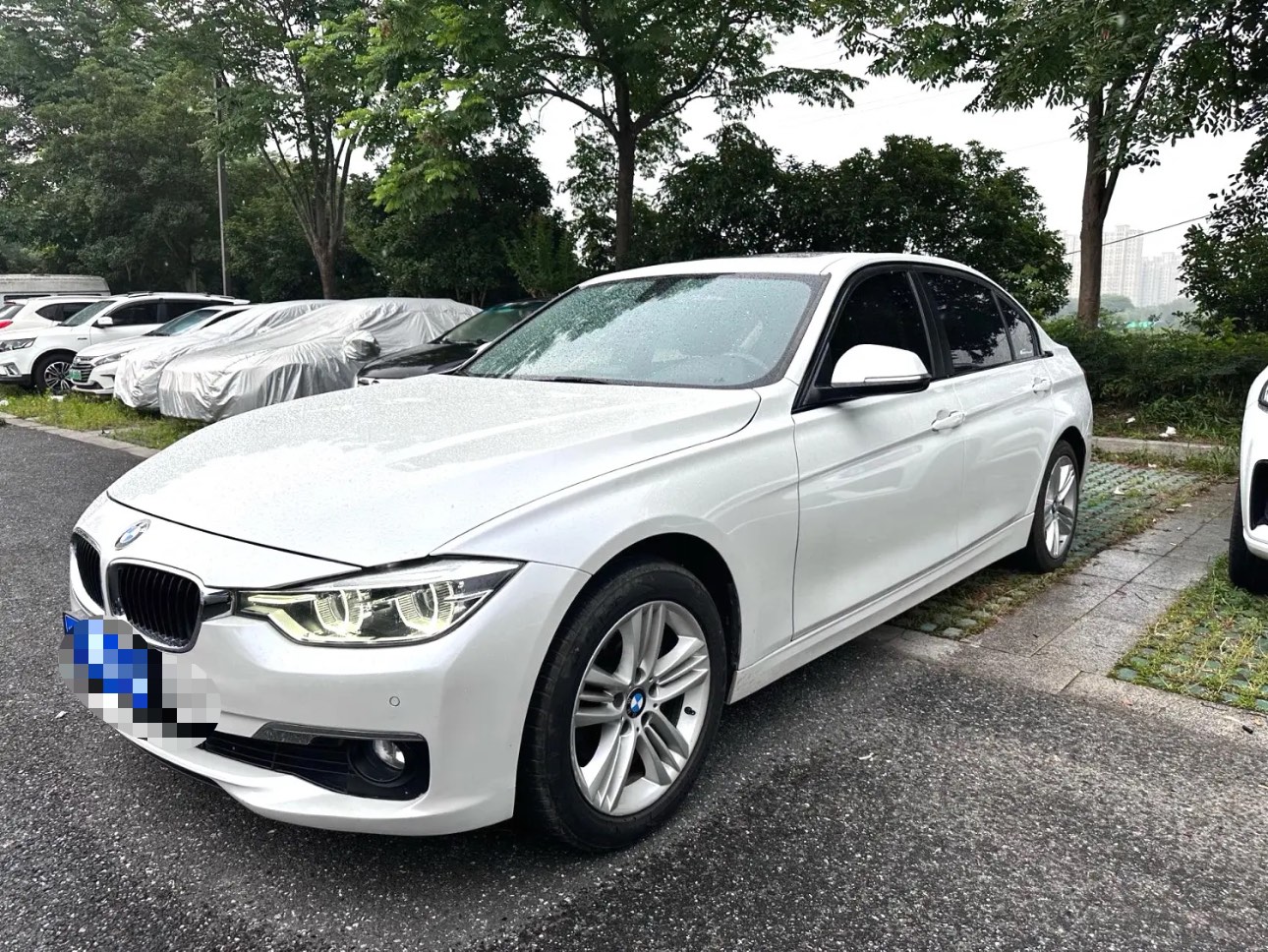 BMW 3 Series 2016 BMW 3 Series 2016 car image