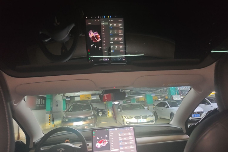 Tesla Model 3 2021 car image #18