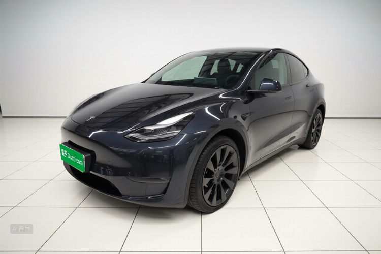 Tesla Model Y 2024 car image #2