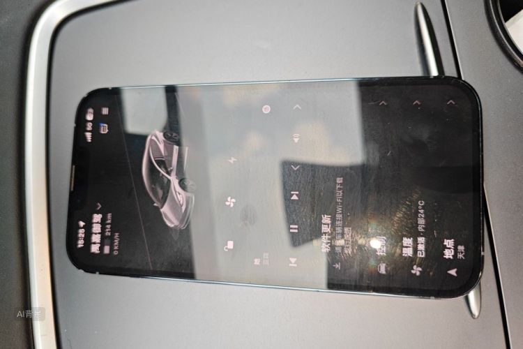 Tesla Model 3 2021 car image #10