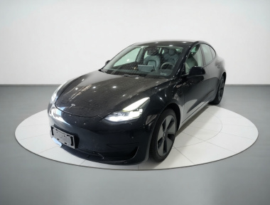 Tesla Model 3 2021 Tesla Model 3 2021 car image