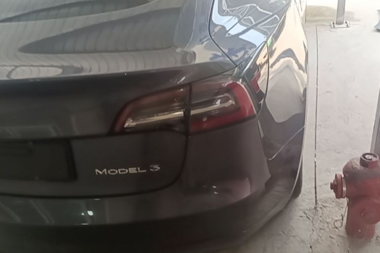 Tesla Model 3 2020 #8 Tesla Model 3 2020 car image #8