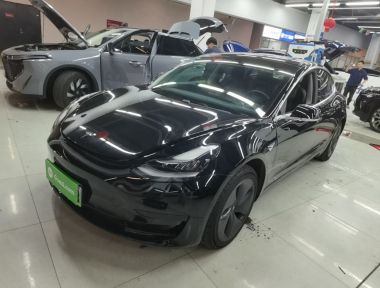 Tesla Model 3 2020 car image 