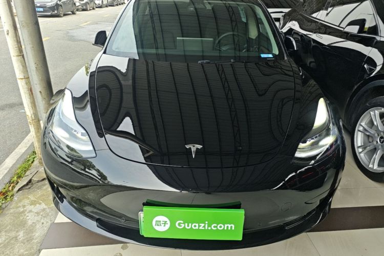 Tesla Model 3 2021 #3 Tesla Model 3 2021 car image #3