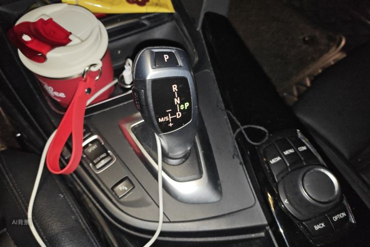 BMW 3 Series GT 2018 car image #16