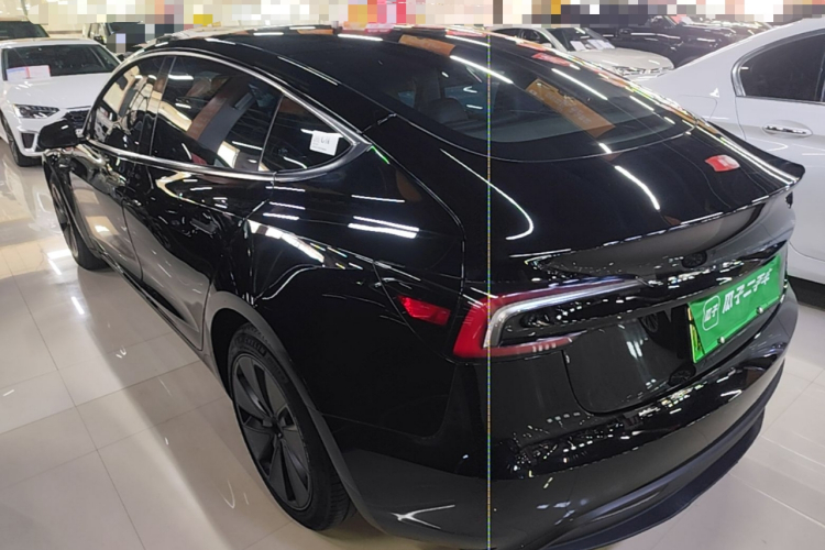 Tesla Model 3 2023 car image #5