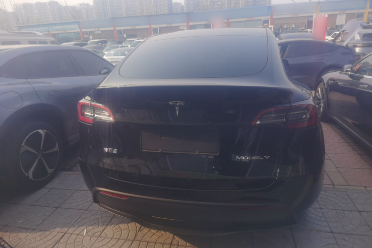 Tesla Model Y 2023 car image #6