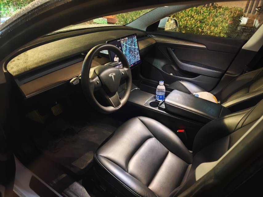 Tesla Model 3 2021 immagine di auto #6