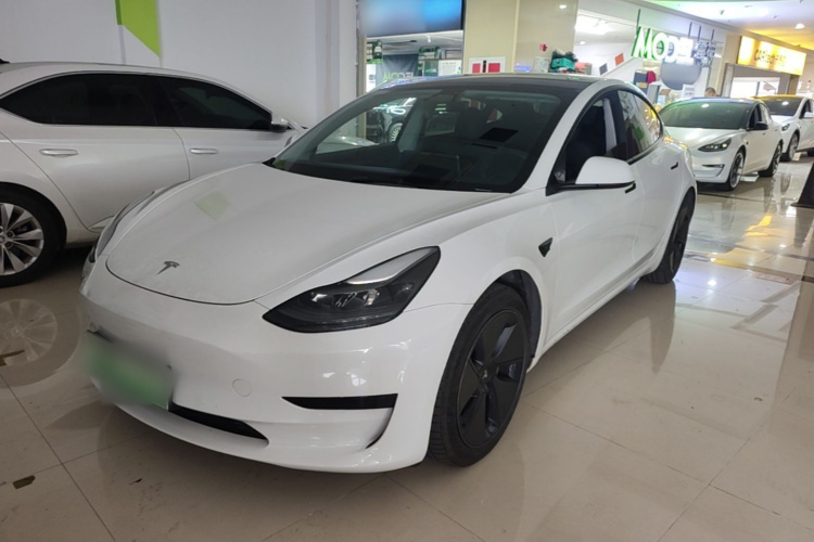 Tesla Model 3 2021 #2 Tesla Model 3 2021 car image #2