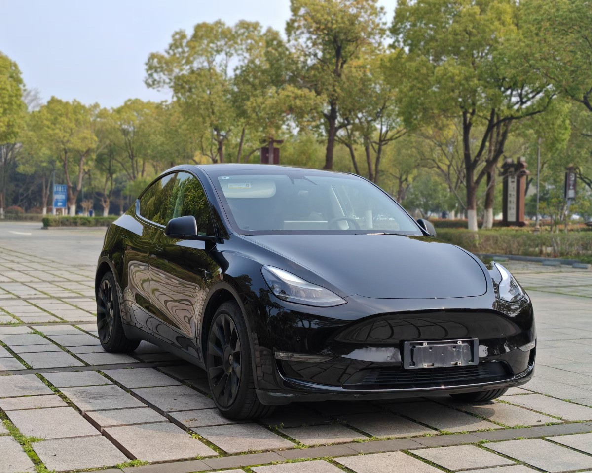 Tesla Model Y 2022 car image #2