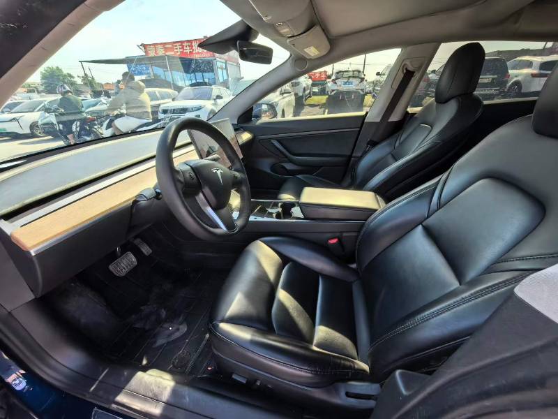 Tesla Model 3 2020 car image #5