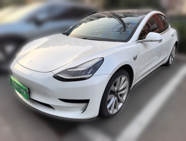 Tesla Model 3 2020 Tesla Model 3 2020 car image