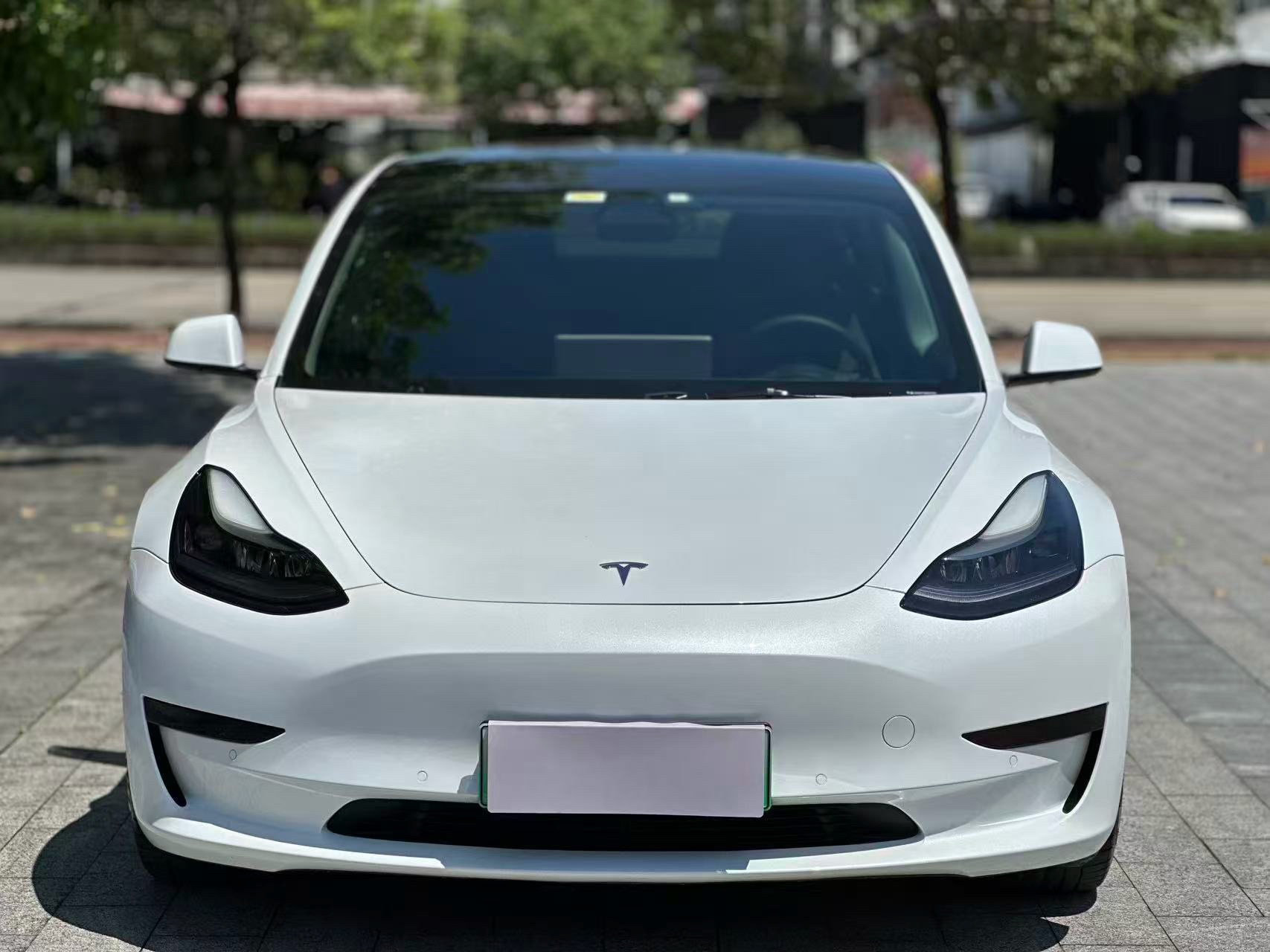 Tesla Model 3 2021 #2 Tesla Model 3 2021 car image #2