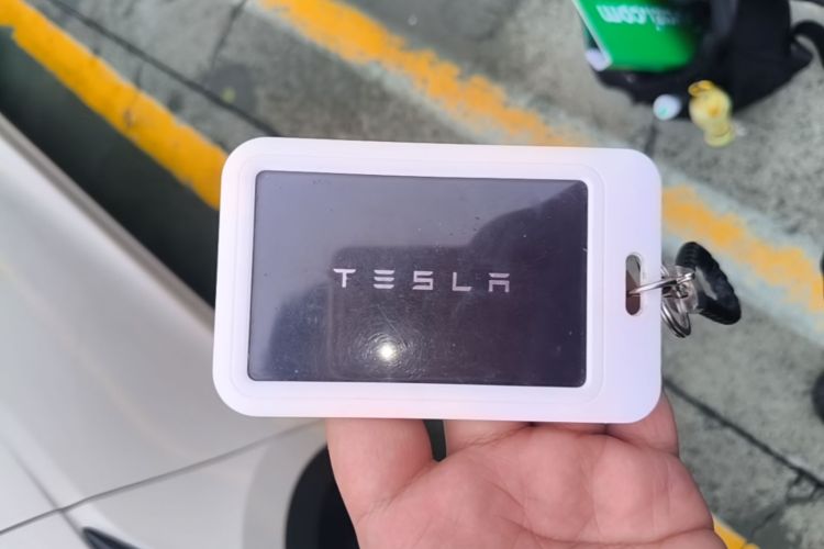 Tesla Model Y 2023 car image #14