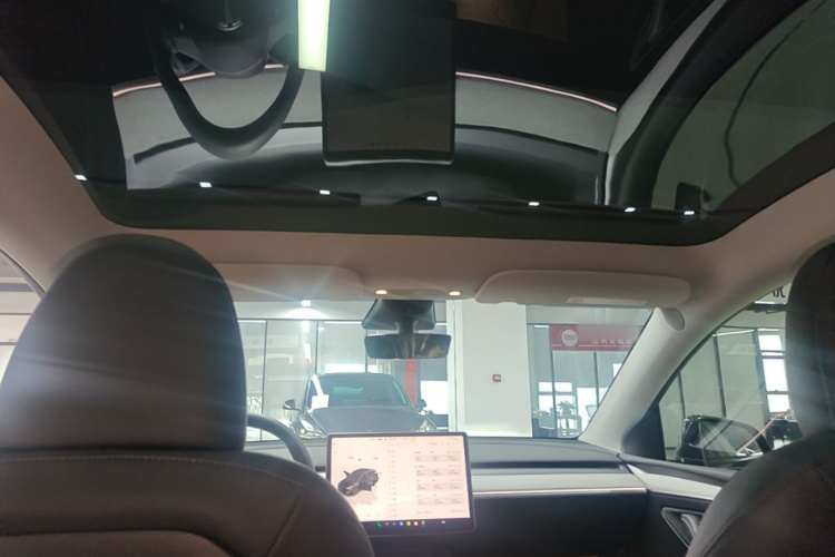 Tesla Model Y 2023 #18 Tesla Model Y 2023 car image #18