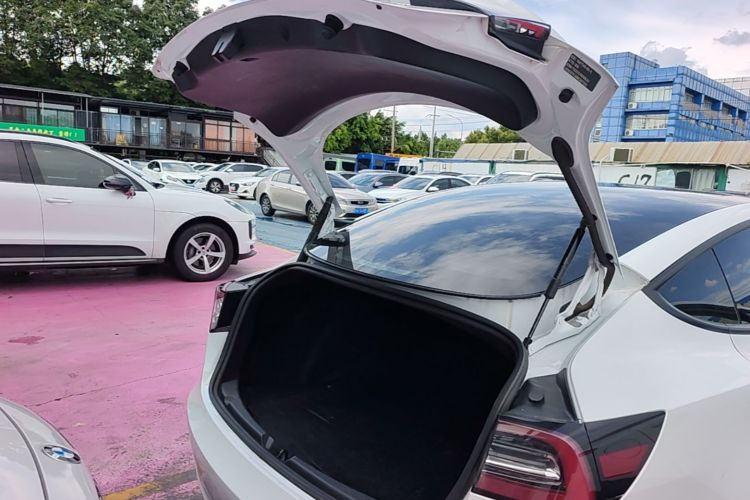 Tesla Model 3 2021 #21 Tesla Model 3 2021 car image #21