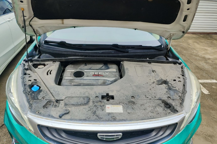 GEELY Emgrand GS 2020 car image #20