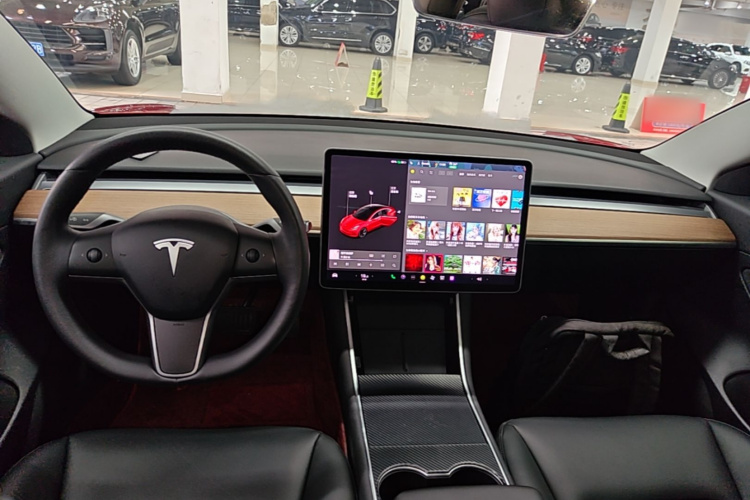 Tesla Model 3 2020 immagine di auto #10