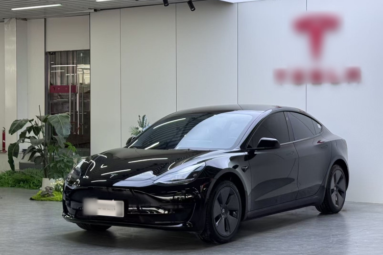 Tesla Model 3 2023 #2 Tesla Model 3 2023 car image #2
