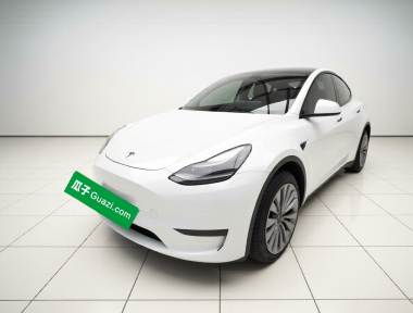 Tesla Model Y 2023 Tesla Model Y 2023 car image