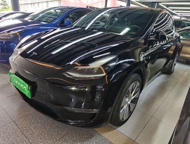 Tesla Model Y 2023 Tesla Model Y 2023 car image