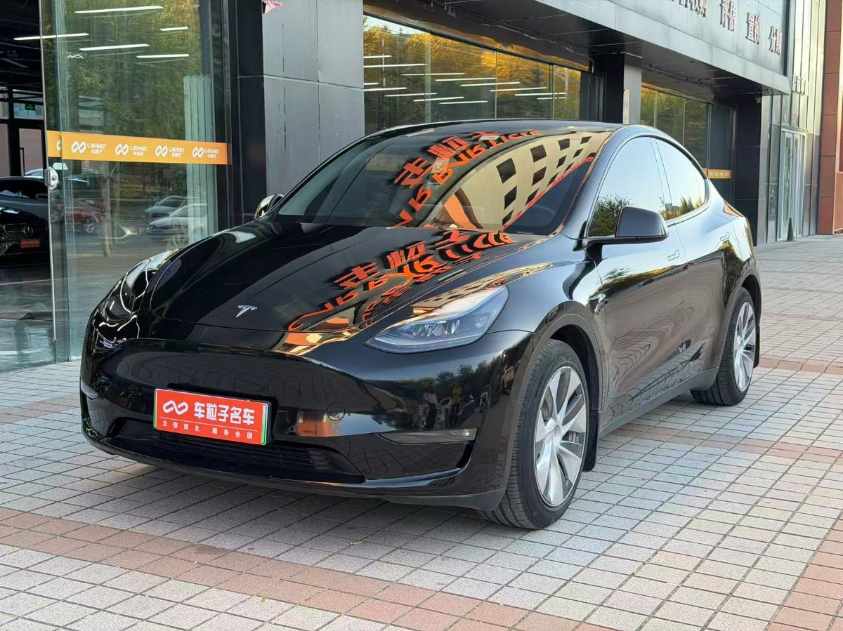 Tesla Model Y 2022 car image 