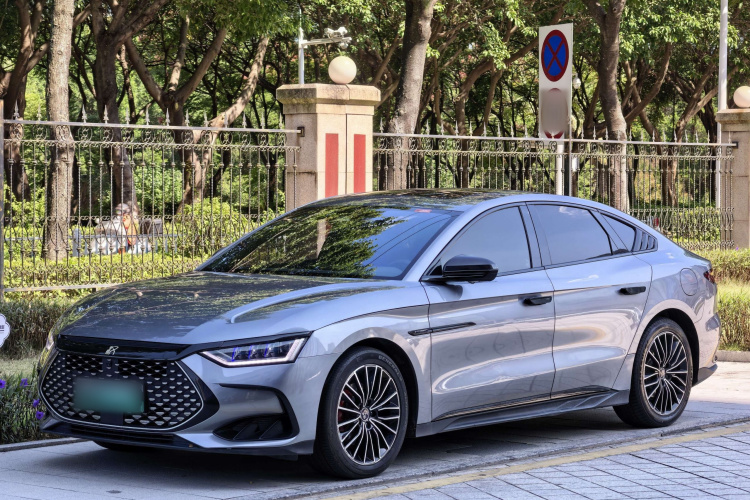 BYD Han 2022 immagine di auto #2