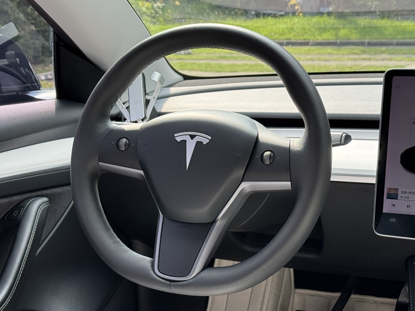 Tesla Model 3 2021 car image #7