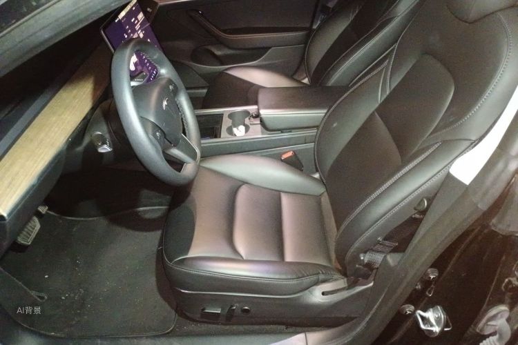 Tesla Model 3 2022 car image #17