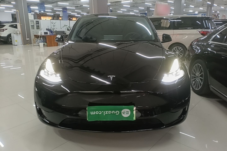 Tesla Model Y 2023 car image #3