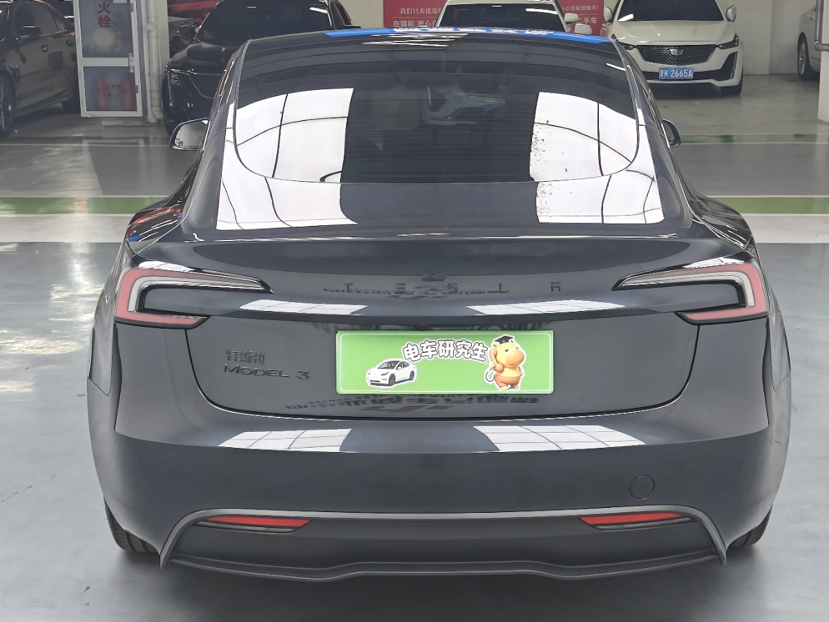 Tesla Model 3 2024 #15 Tesla Model 3 2024 car image #15