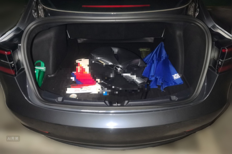 Tesla Model 3 2020 car image #21