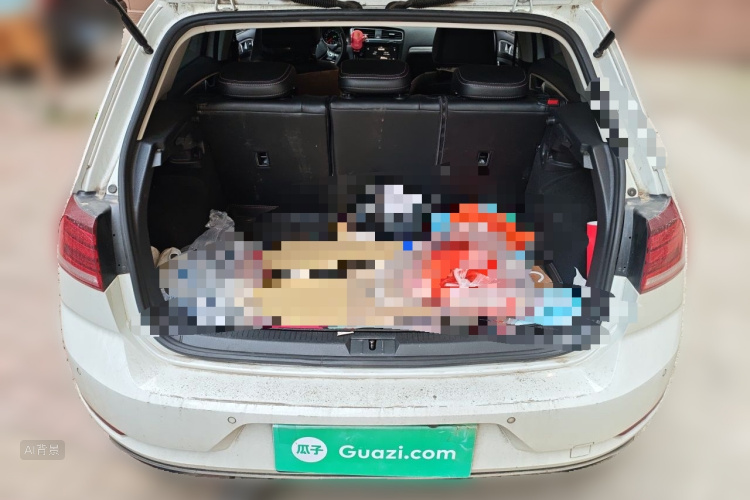 Volkswagen Golf 2019 car image #21