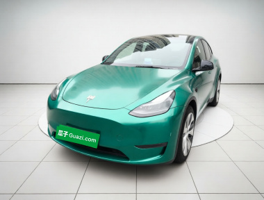 Tesla Model Y 2021 car image 