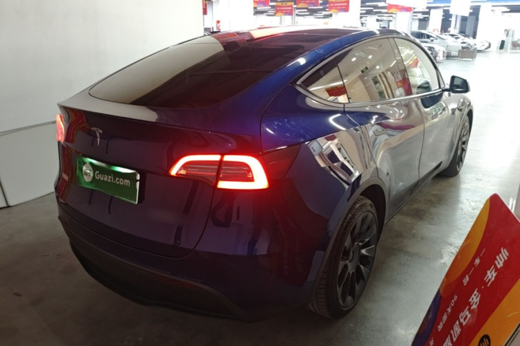 Tesla Model Y 2021 car image #7