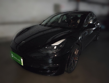 Tesla Model 3 2022 Tesla Model 3 2022 car image