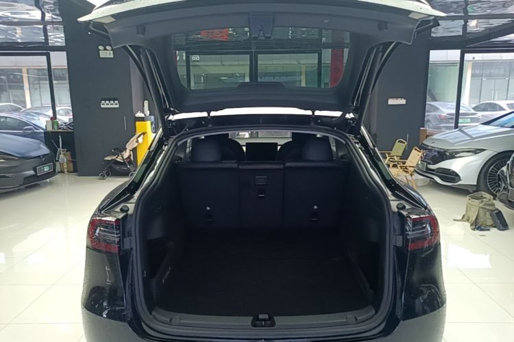 Tesla Model Y 2021 car image #19