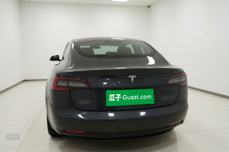 Tesla Model 3 2020 car image #4