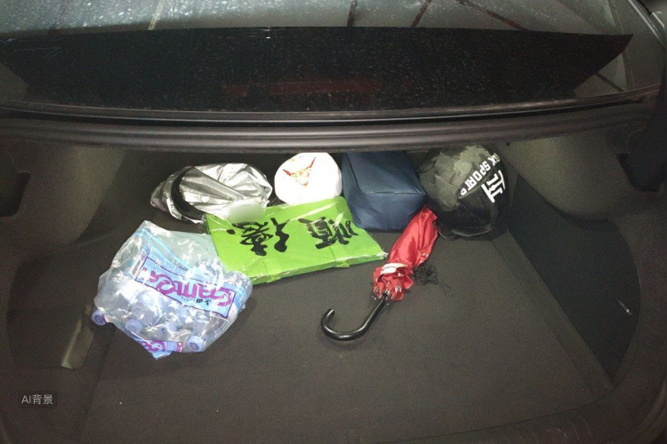 BYD Han 2023 car image #21