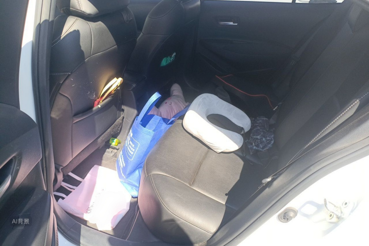 Toyota Corolla 2021 car image #19