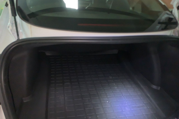 Tesla Model 3 2020 imagem de carro #17